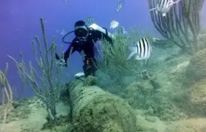 OWD SDI Open Water Scuba Diver Kurs