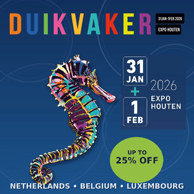 duikvaker_banner_800x800_blue_seahorse