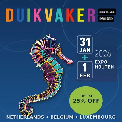 duikvaker_banner_800x800_blue_seahorse
