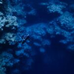 SDI Deeper Diving