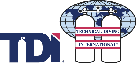 TDI_Combo_Color_Small