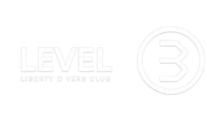 level 3 logo 400x200
